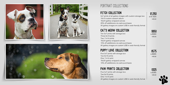 Nashville Pet Photography