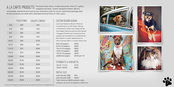 Nashville Pet Photography