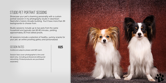 Nashville Pet Photography