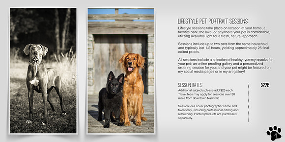 Nashville Pet Photography